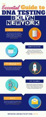 The DNA Relationship Testing Process Infographic.