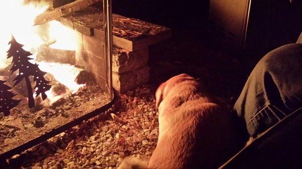 Miley loves the evenings by the fire