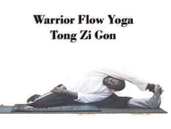 Warrior Flow Yoga