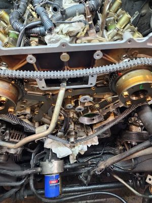 Timing chain