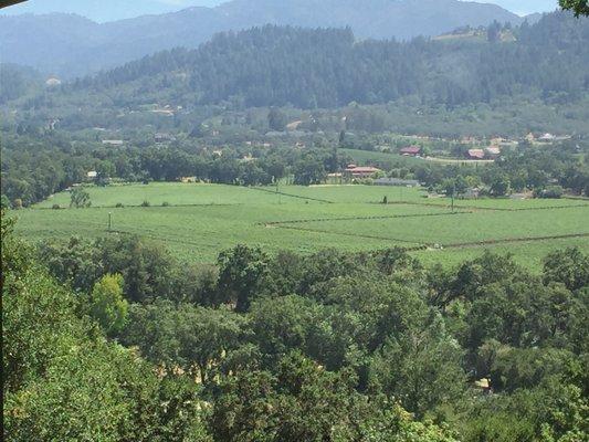 View from Rombauer Winery Custom Photography by Cuvée Marketing