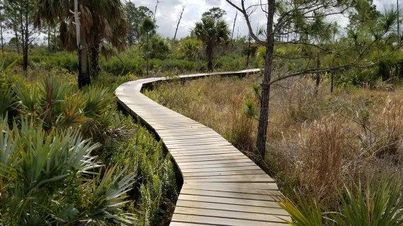 Jonathan Dickinson State Park mountain bike trail