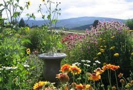 The butterfly garden surrounding the library, planted and maintained by the Angel Fire Garden Club.