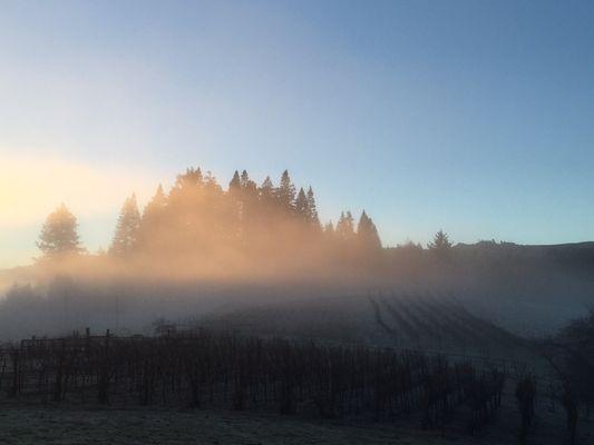 Monument Mountain Vineyards