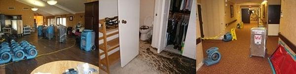 Sewage Damage Repair