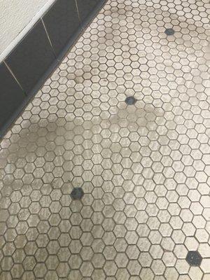 Tile grout cleaning