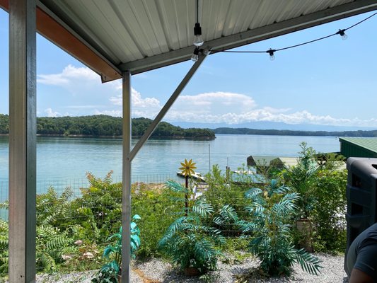 water view from picnic table