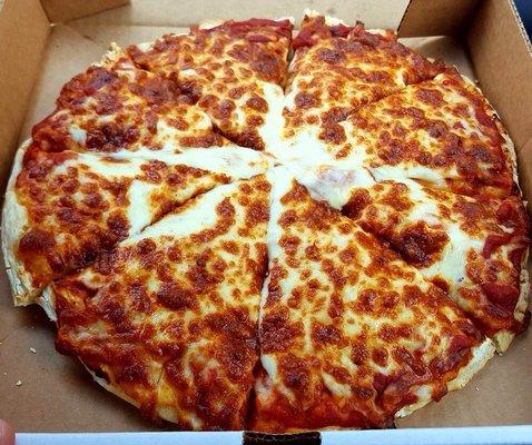 Delicious cheese pizza