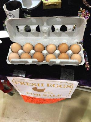 Even fresh chicken eggs for sale