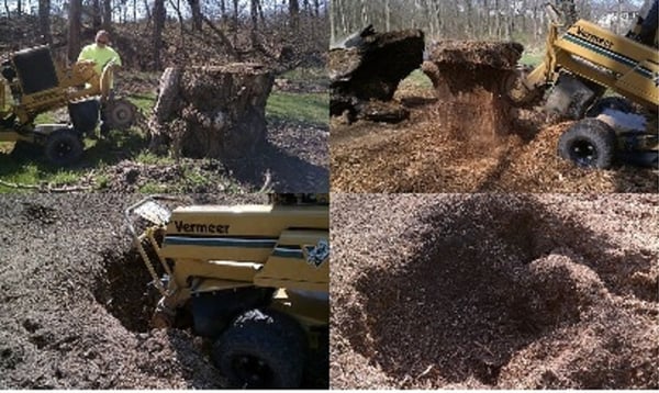 We always take out the entire stump no matter how large or small