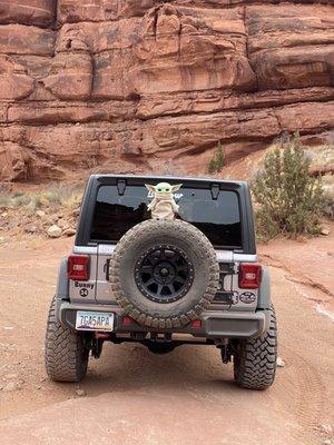 Jeep / Bunny