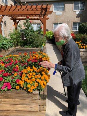 Beautiful gardens to enjoy reading, bird watching, etc.