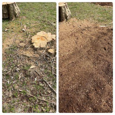 Stump Grinding in Charlotte 
3-1-23