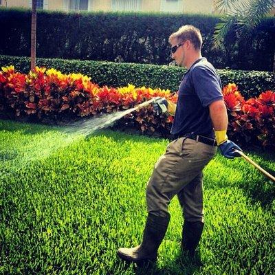 Need to green up your lawn? Call us!