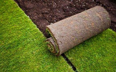 Sod installation home and commercial.