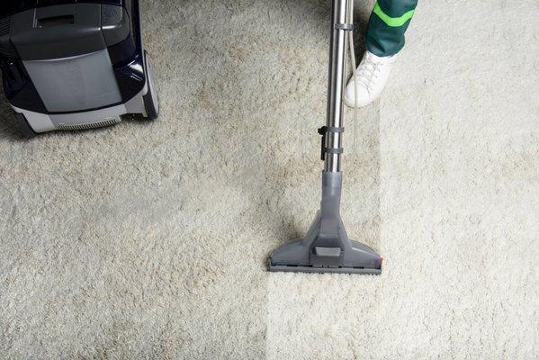 Our professional carpet cleaning service