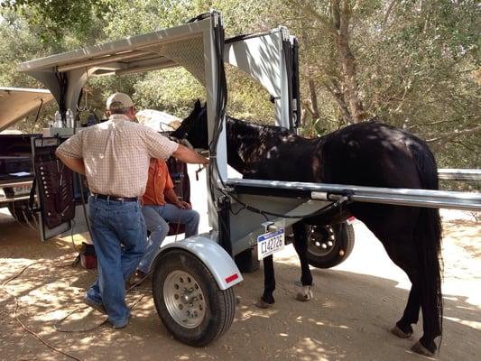 The dentist comes to you. Pretty fancy rig to make your horse comfortable.