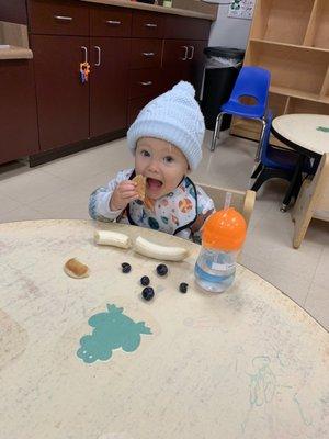 Archie eating his breakfast happily at drop off :)