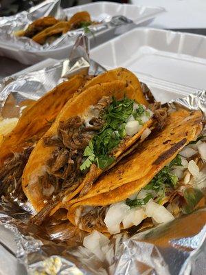 Birria tacos