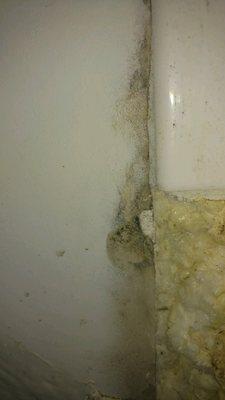 Mold in bathroom after repairs "were completed"