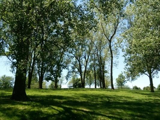 Cottonwood trees provide shade.