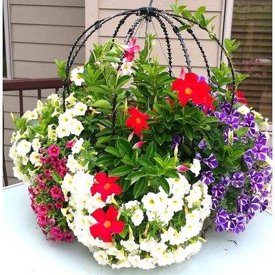 A Basket Booster Trellis