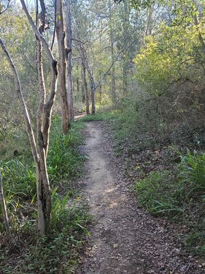 October found most of the CCC and Chisolm trails very well shaded