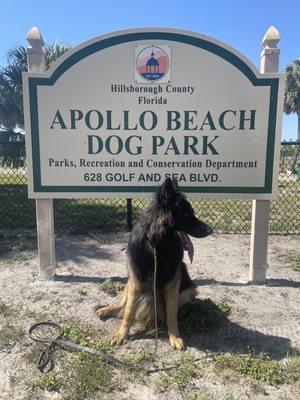 Apollo Beach Dog Park