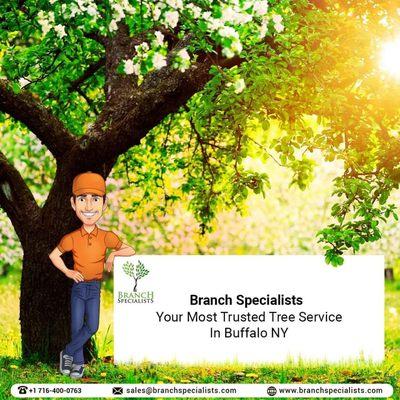 Contact us for Any Tree service.