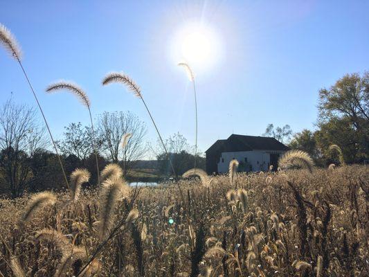 Schramm's Farm Market