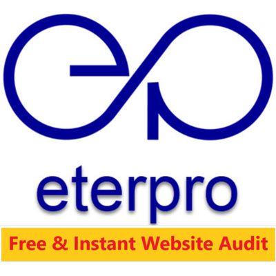 Free Website Audit eterpro