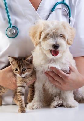 Animal Care Clinic