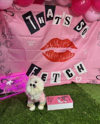 So Fetch photoshoot after a full groom