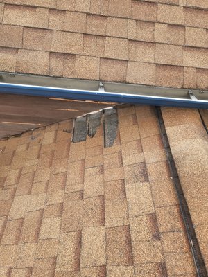 Gutter cleaning