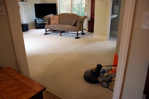 A recent carpet cleaning job using our new rotary extraction tool.