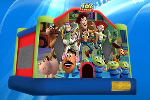 toy story 13x13