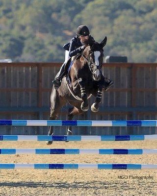 Prescott and Doc Show Jumping at Woodside