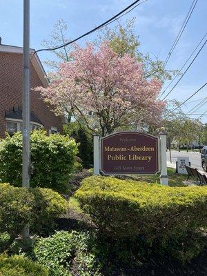 Outside library