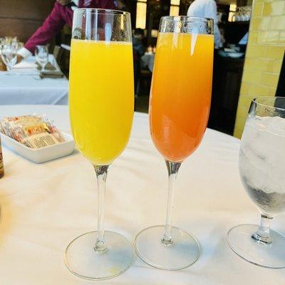 Sunrise Mimosa and Bottomless Mimosa