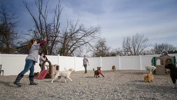 The facilities at Buddy's Doggie Day Care are meant to provide your pet with ample space in a fully-equipped climate controll...