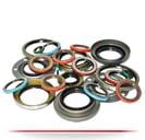 We have in-stock a full-line of various seals in metric and inch dimensions; End-Caps, V-Rings, Gamma Seals, U-Cups, Wipers, ...