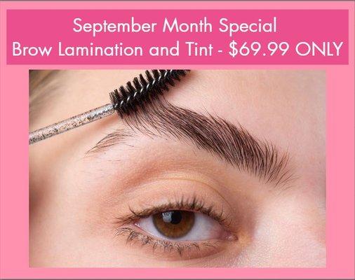 Brow Lamination and Tint for $69.99 ONLY