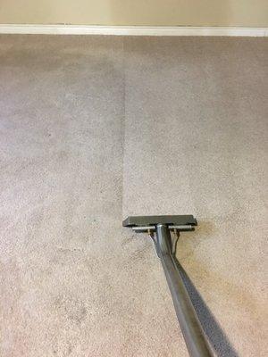 Residential Carpet Cleaning