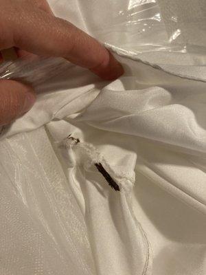 Large twig on wedding dress remaining after it was cleaned, 8/31/21