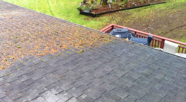 Roof Cleaning Process