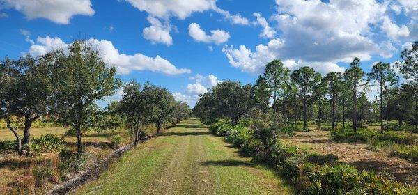 Lightsey Family Ranch