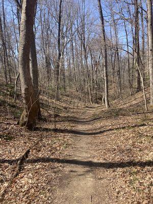 Parkers Creek Preserve