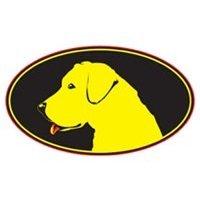 Yellow Dawg Striping - Greensboro