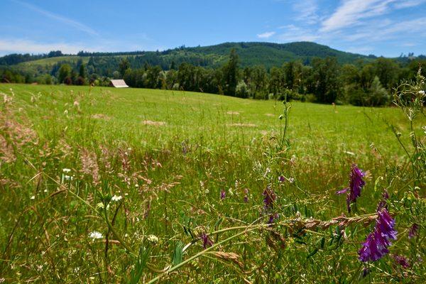 Oregon Farm Land - a beautiful investment.