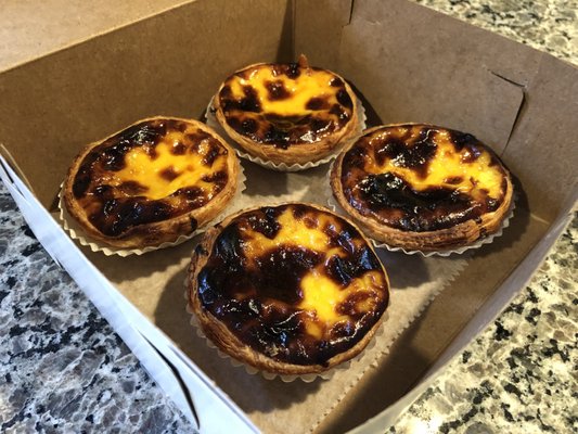 Best natas in the USA